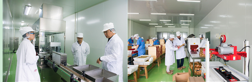 现代分子生物学技术打造海参蛹虫草液 强强联手只为健康的您