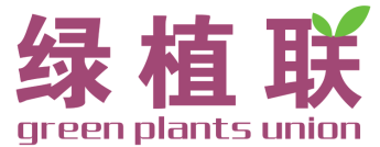 图片13.png