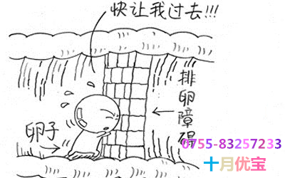 \ 云图片